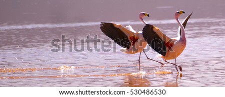 Synchronized Landing