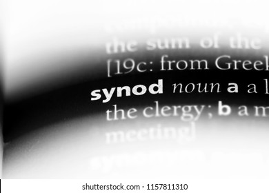 Synod Word In A Dictionary. Synod Concept.