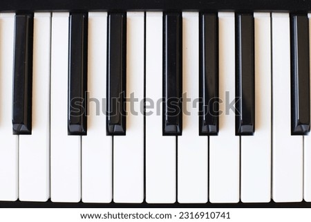 Synthesizer keys black and white background with copy space for your text. Piano octave close up top view. Keyboard musical instrument. Music class concept