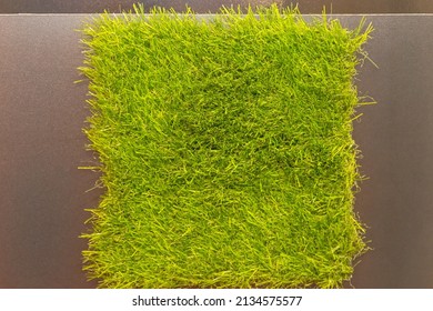 Synthethic Green Grass Patch For Artificial Gardens