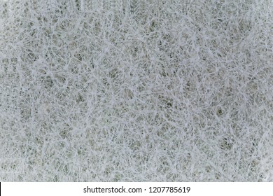 Synthetic Fiber Of White Color Close Up