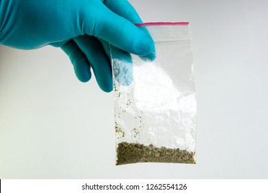 Synthetic Marijuana: Laboratory Technician Holds Samples Of Narcotic Herbal Medicines In Hand