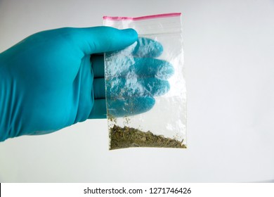 Synthetic Marijuana: Laboratory Technician Holds Samples Of Narcotic Herbal Medicines In Hand