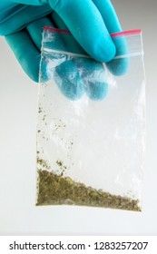 Synthetic Marijuana: Laboratory Technician Holds Samples Of Narcotic Herbal Medicines In Hand