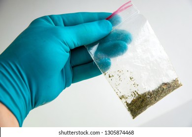 Synthetic Marijuana: Laboratory Technician Holds Samples Of Narcotic Herbal Medicines In Hand