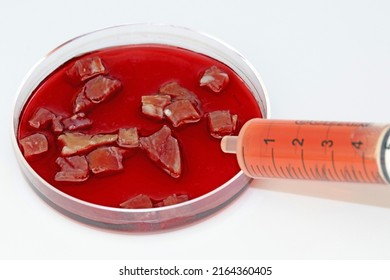 Synthetic Meat Cultured In The Laboratory Of Biotechnology From Cow Adult Stem Cells