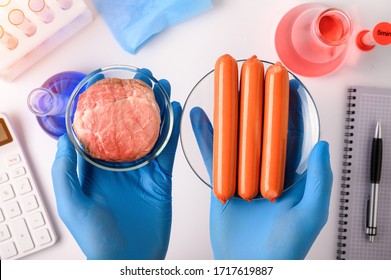 .Synthetic Meat Production. Checking The Product For Suitability In The Laboratory. Artificial Meat Is The Food Of The Future. Test Tube Meat.