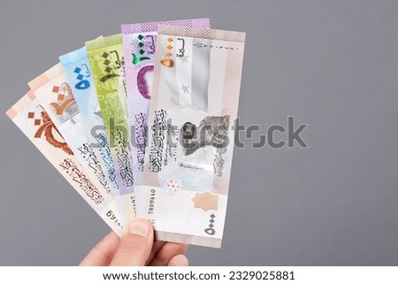 Syrian money - pound in the hand on a gray background