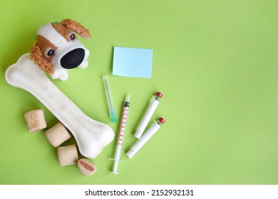 Syringe With Ampoules, Soft Dog Toy And Treats. Reminder Of Vaccination Against Rabies, Prevention Of Plague, Infectious Hepatitis, Parainfluenza, Coronovirus, Leptospirosis, Adenovirus Infection For 