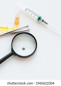 Syringe, Ampoules With Vaccine,  Tweezer, Magnifier Glass And Dangerous Tick On White Background. Black Legged Deer Tick, Parasite On Cats And Dogs.
 Threats To Health. Deer Ticks, Ixodes Scapularis