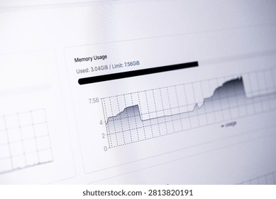 The system dashboard presents live memory usage metrics on a line chart, illustrating computational efficiency, network resource tracking, and professional infrastructure management