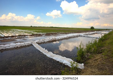 System Of Flood Control,
Shallow Depth Of Field