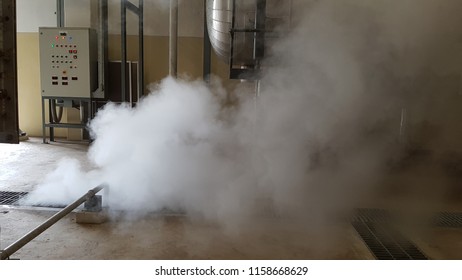 The system had been blowdown stream of boiler