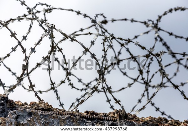 The\
system of protection of the territory. Wire fence on top of the\
fence protected. Wire fence with barbed wire\
rolled.