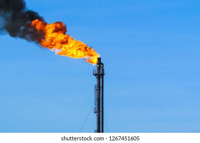 System Of A Torch On An Oil Field. Burning Through A Torch Head.