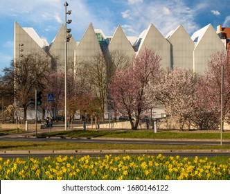 Szczecin, Poland-March 2020: Cherries Next To The Szczecin Philharmonic