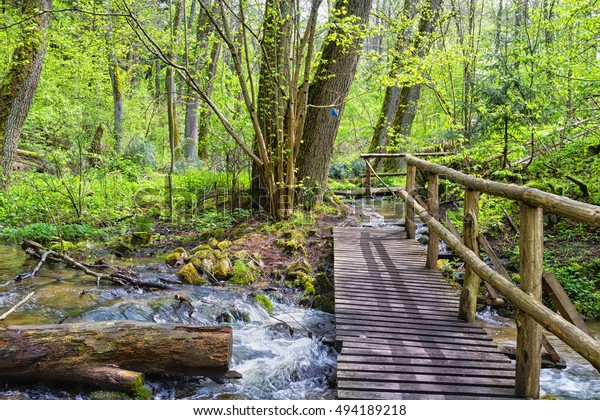 Szumy Na Tanwi Cascades On Tanew Stock Photo (Edit Now) 494189218