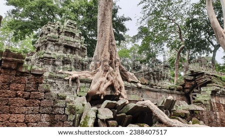 Ta Phrom - Iconic 12th century Angkor Khmer Temple with Tree roots intertwined with the temple structure, famous for Tomb Raider movie featuring Angeline Jolie at Siem Reap, Cambodia, Asia