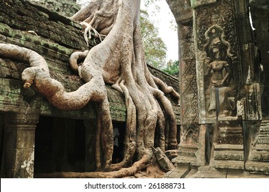 Ta Prohm, Cambodia