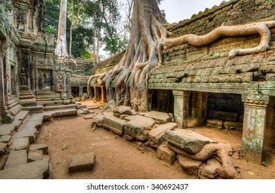 Ta Prohm, Cambodia