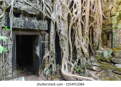 Ta Prohm Famous Jungle Tree Roots Embracing Angkor Temples, Revenge Of Nature Against Human Buildings, Travel Destination Cambodia.