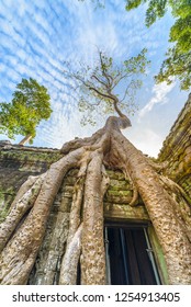 Ta Prohm Famous Jungle Tree Roots Embracing Angkor Temples, Revenge Of Nature Against Human Buildings, Travel Destination Cambodia.