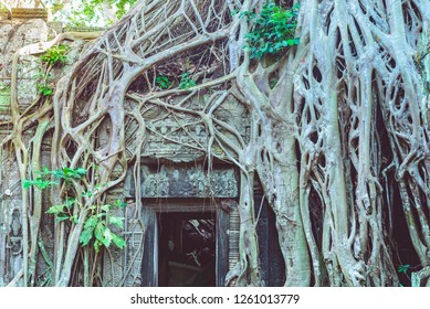 Ta Prohm Famous Jungle Tree Roots Embracing Angkor Temples, Revenge Of Nature Against Human Buildings, Travel Destination Cambodia.