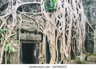 Ta Prohm Famous Jungle Tree Roots Embracing Angkor Temples, Revenge Of Nature Against Human Buildings, Travel Destination Cambodia.