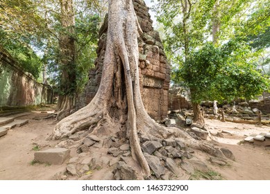 Ta Prohm Famous Jungle Tree Roots Embracing Angkor Temples, Revenge Of Nature Against Human Buildings, Travel Destination Cambodia.