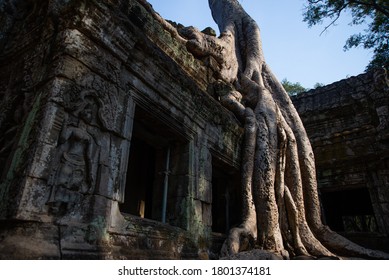 Ta Prohm. Located approximately one kilometre east of Angkor Thom, it was founded by the Khmer King Jayavarman VII as a Mahayana Buddhist monastery and university. 