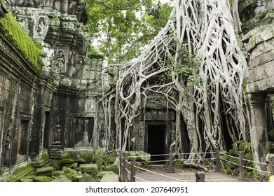 Ta Prohm Temple