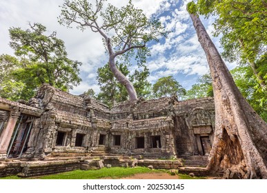 Ta Prohm Temple In Cambodia