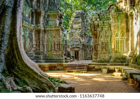 Ta Prohm temple in the morning light. Part of the Angkor Wat complex, Seam Reap, Cambodia. Film location for Tomb Raider.