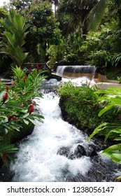 Tabacon Hot Spring In Costa Rica