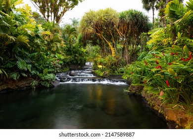 Tabacon Hotspring In Costa Rica