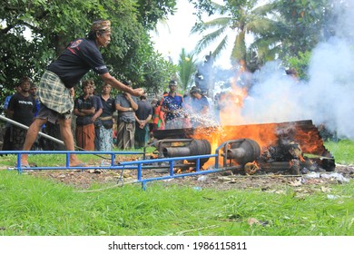 Tabanan Bali, Indonesia - July 16, 2016: Someone Spreads Salt To The Cremated Corpse In The Balinese Cremation 