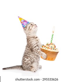 Tabby Cat Birthday Hat Holding Cake Stock Photo 295533626 | Shutterstock