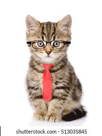 Tabby cat wearing glasses and a red tie. isolated on white background