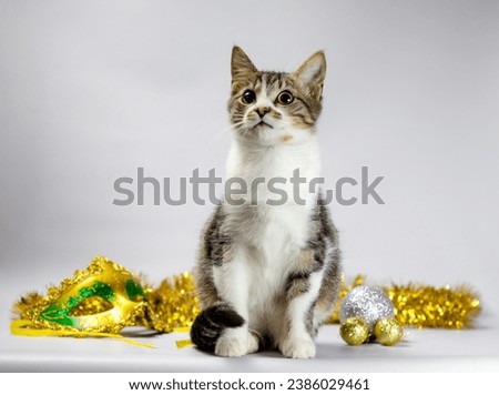 tabby kitten with yellow christmas decorations and mask