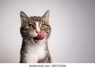 tabby white cat with mouth open licking lips looking hungry on white background