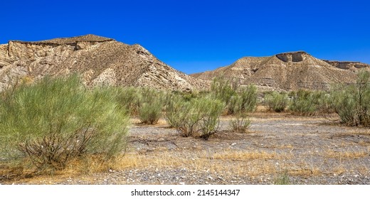Tabernas Desert Nature Reserve  Special Protection Area  Hot Desert Climate Region  Tabernas  Almería  Andalucía  Spain  Europe - Powered by Shutterstock