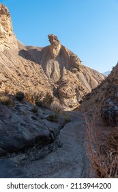 Tabernas Desert Trail, Almería Province, Andalusia. On A Trek In The Rambla Del Infierno