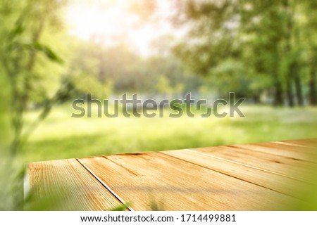 Table background of free space and spring time in garden 