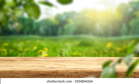 Table background and spring time  - Shutterstock ID 1054844264