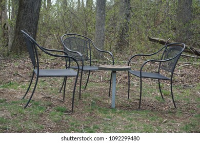 Table and Chairs in Forest