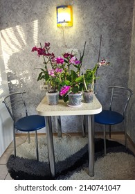 Table And Chairs In A Kitchen In A Cozy Home. Spring Sunny Day