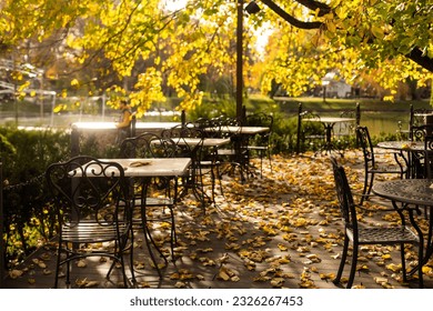 table and chairs of a street cafe in autumn leaves. - Powered by Shutterstock