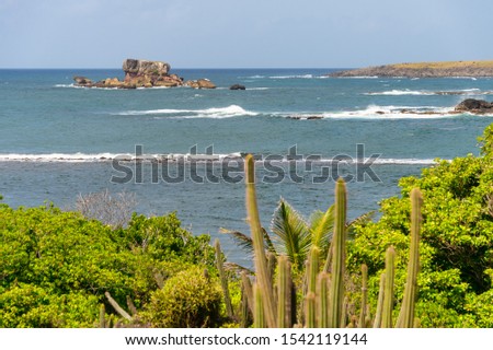 Table du Diable (Devil's Table) in the Savanna of Petrifications in Martinique