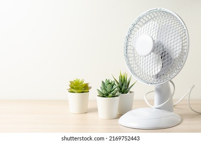 Table Fan And Succulent Flowers. Closeup. Cooling In The Room In Hot Weather