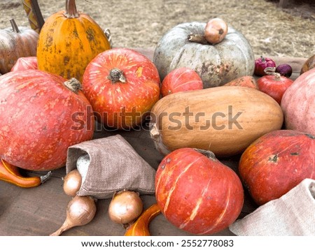 A table full of different colored pumpkins and squash. The pumpkins are orange and the squash are brown